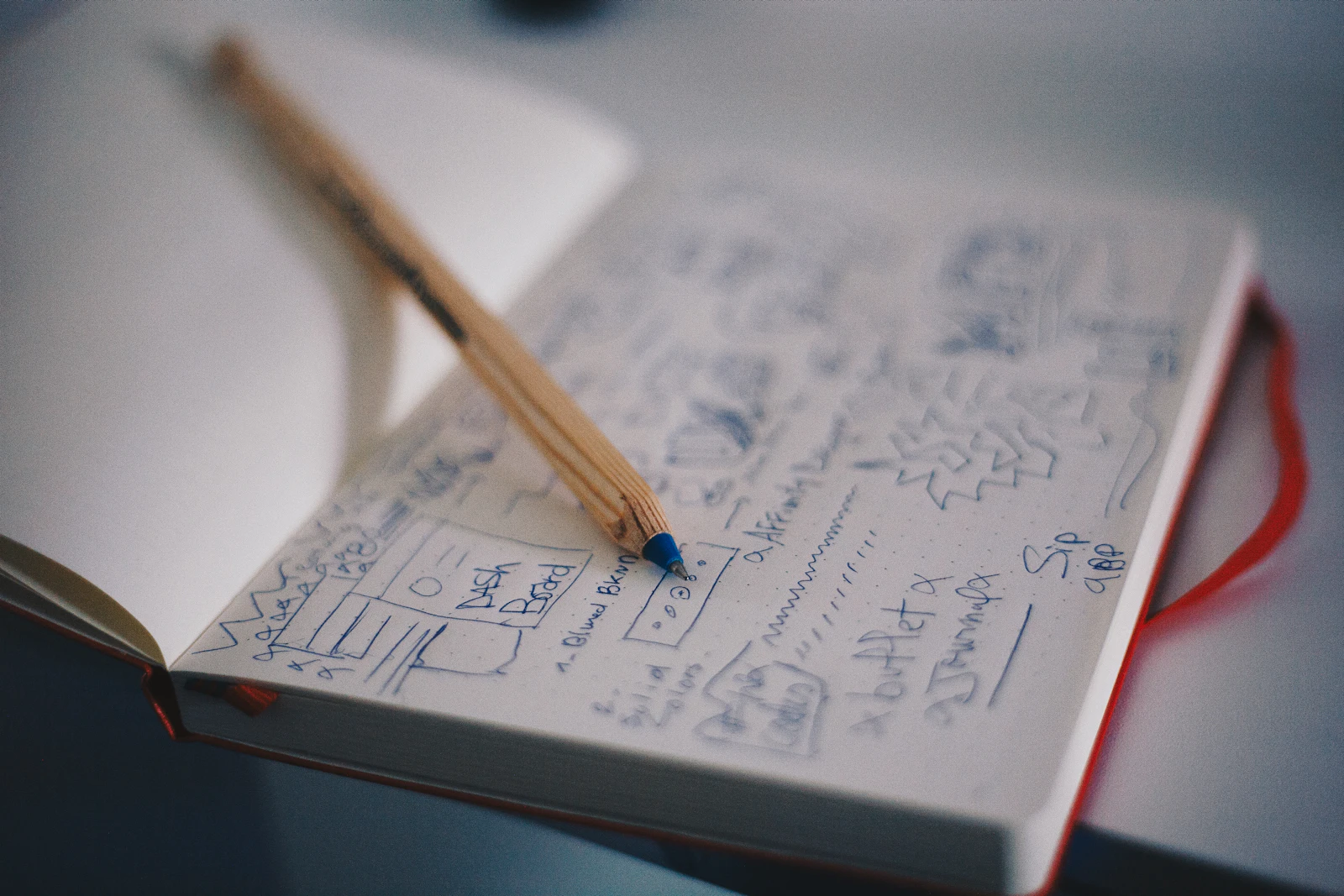 Typography in print and brand design